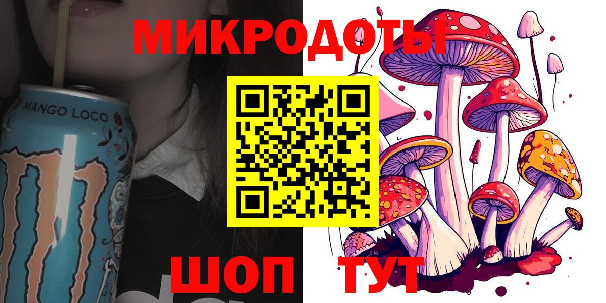 Галлюциногенные грибы Psilocybe Корсаков